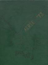 1973 Salem School Yearbook from New zion, South Carolina cover image