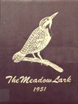 1951 Grand Meadow High School Yearbook from Grand meadow, Minnesota cover image