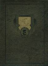 1926 Roosevelt High School Yearbook from Wyandotte, Michigan cover image