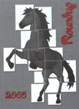 2005 Assumption High School Yearbook from Napoleonville, Louisiana cover image