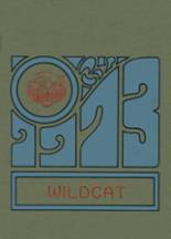 1973 Mt. Enterprise High School Yearbook from Mt. enterprise, Texas cover image