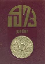 1973 South Iron High School Yearbook from Annapolis, Missouri cover image
