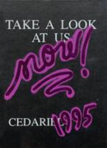 Cedarburg High School 1995 yearbook cover photo
