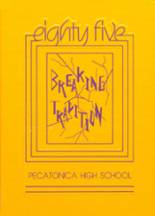 Pecatonica High School 1985 yearbook cover photo