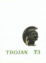 1973 Bandys High School Yearbook from Catawba, North Carolina cover image