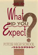 Potosi High School 1995 yearbook cover photo