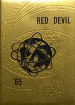 1965 Decatur Community High School Yearbook from Oberlin, Kansas cover image