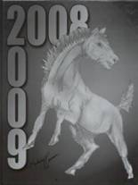 South High School 2009 yearbook cover photo