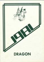 Bellflower High School 1981 yearbook cover photo