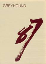 1987 Naugatuck High School Yearbook from Naugatuck, Connecticut cover image
