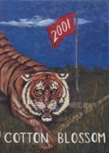 2001 Caruthersville High School Yearbook from Caruthersville, Missouri cover image