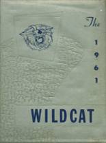 Welch High School 1961 yearbook cover photo