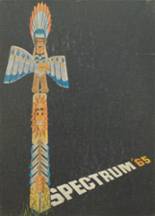 1965 Niles West High School Yearbook from Skokie, Illinois cover image