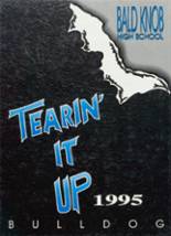 1995 Bald Knob High School Yearbook from Bald knob, Arkansas cover image