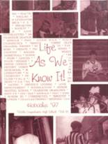 1997 Vidalia High School Yearbook from Vidalia, Georgia cover image