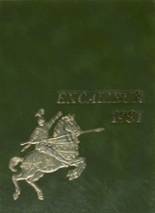 1981 Richwoods High School Yearbook from Peoria, Illinois cover image