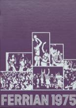 Martins Ferry High School 1975 yearbook cover photo