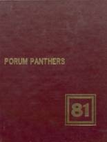 Porum High School 1981 yearbook cover photo