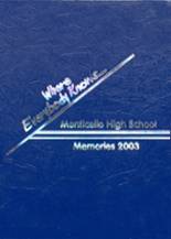 Monticello High School 2003 yearbook cover photo