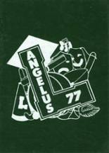 Leavitt Area High School 1977 yearbook cover photo