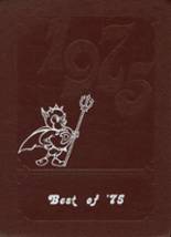 Deerfield High School 1975 yearbook cover photo