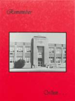 Devils Lake High School 1992 yearbook cover photo