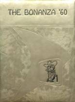 1960 Stewart County High School Yearbook from Dover, Tennessee cover image