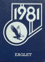 Marcus-Meriden-Cleghorn High School 1981 yearbook cover photo