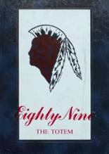 1989 Indian Valley High School Yearbook from Gnadenhutten, Ohio cover image