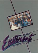 Apopka High School 1989 yearbook cover photo