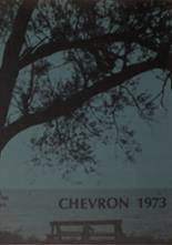 Albion High School 1973 yearbook cover photo