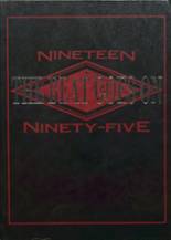 1995 Ellendale High School Yearbook from Ellendale, North Dakota cover image