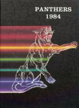 1984 DeWitt High School Yearbook from Dewitt, Michigan cover image