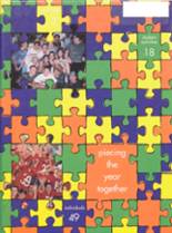 1999 Bradley-Bourbonnais High School Yearbook from Bradley, Illinois cover image