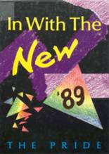 1989 Dryden High School Yearbook from Dryden, New York cover image