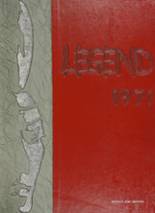 1971 Lenape High School Yearbook from Medford, New Jersey cover image