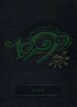 1999 Coloma High School Yearbook from Coloma, Michigan cover image