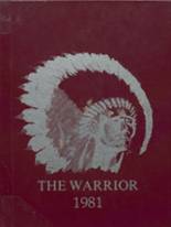 Stillwater High School 1981 yearbook cover photo