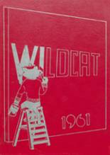 Deming High School 1961 yearbook cover photo