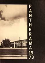 Eisenhower High School 1973 yearbook cover photo