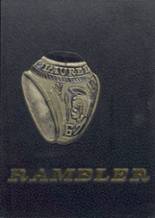 Laurel High School 1967 yearbook cover photo