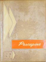 1961 Springtown High School Yearbook from Springtown, Texas cover image