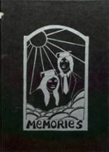 1978 North Warren High School Yearbook from Chestertown, New York cover image