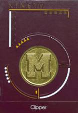 1995 Martin High School Yearbook from Martin, Michigan cover image