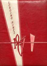 Atkinson County High School 1961 yearbook cover photo