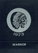 1973 Goldfield High School Yearbook from Goldfield, Iowa cover image