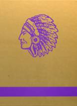 Pecatonica High School 2001 yearbook cover photo