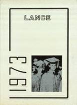 Valley High School 1973 yearbook cover photo