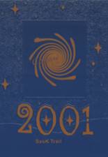 Jonesville High School 2001 yearbook cover photo
