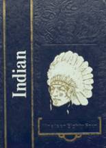 1984 Asher High School Yearbook from Asher, Oklahoma cover image